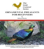 Ornamental Pheasants for beginners