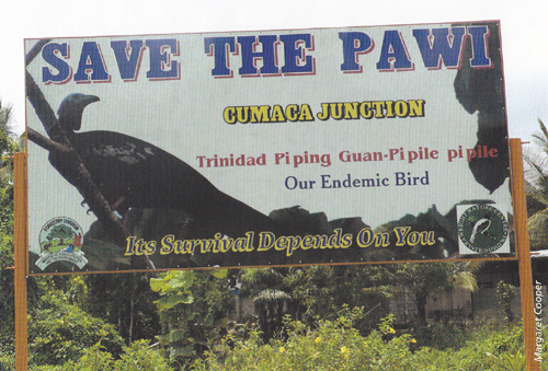 Save the Pawi
