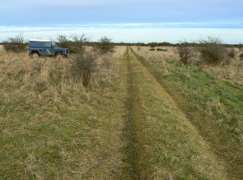 Track vlakte van Salisbury